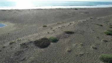 San Simeon California 'da plajların, bataklıkların ve okyanusların üzerinde uçuyor.