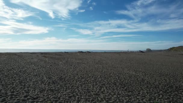 Маяк Пляжи Piedra Blanca Сан Симеон Калифорния — стоковое видео