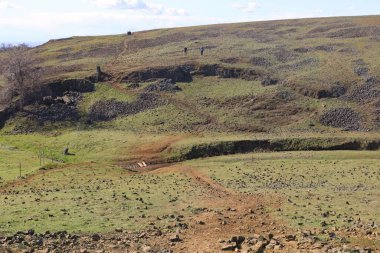 Wildflowers, mountains and meadows at Table mountain Oroville, California