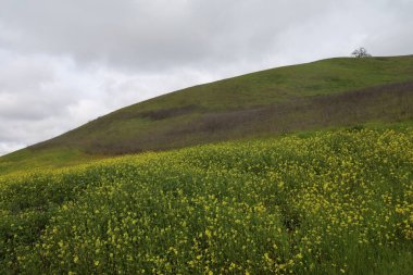 Kar fırtınasından sonra Diablo ve San Ramon Dağı