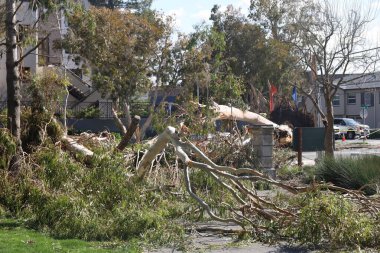 3-24-2023: San Mateo, Kaliforniya: Fırtına sırasında devrilen ağaçlar ve hasarlı mülk