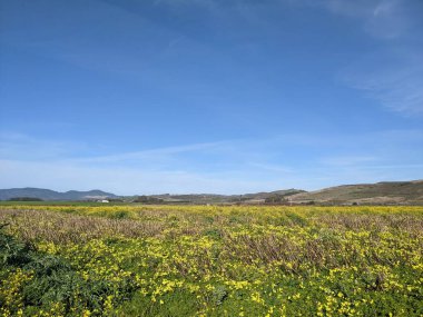 Dalgakıran açık alan korumasının fotoğrafı