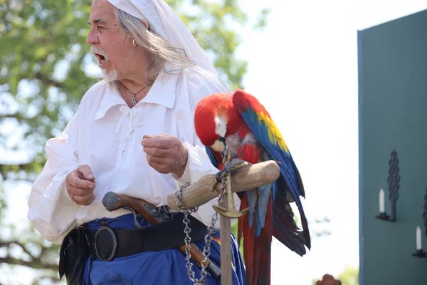 stock image 4-15-2023: Visalia, California: People in period costumes doing a parrot show at a Renaissance Faire