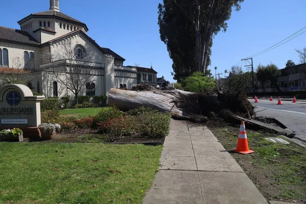 2023 Сан Матео Калифорния Павшие Деревья Поврежденное Имущество Время Шторма — стоковое фото