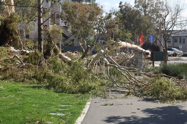 2023年3月24日 加利福尼亚州San Mateo 风暴中倒塌的树木和受损的财产 — 图库照片