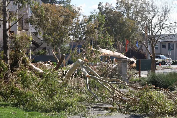 2023 San Mateo Kalifornie Padlé Stromy Poškozený Majetek Během Bouře — Stock fotografie