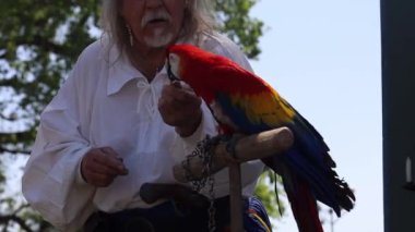 4-15-2023: Visalia, California: Rönesans Fuarı, PArrot Şov