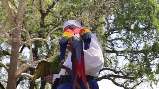 2023 Visalia California Renaissance Faire Parrot Show — стоковое видео