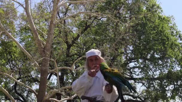 2023 Visalia California Renaissance Faire Parrot Show — стоковое видео