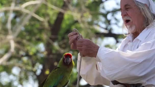 2023 Visalia Kalifornien Renässansfaire Parrot Show — Stockvideo
