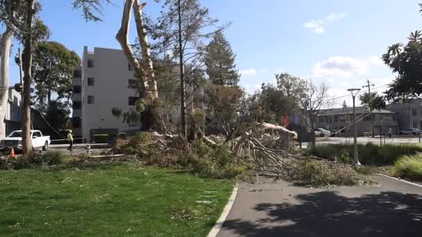 2023 캘리포니아 링네임 폭풍이 지나간 — 비디오