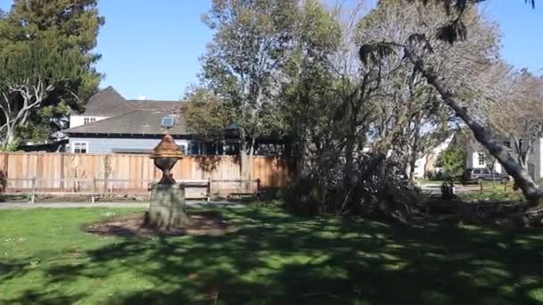 2023 Burlingame California Alberi Caduti Dopo Una Tempesta — Video Stock