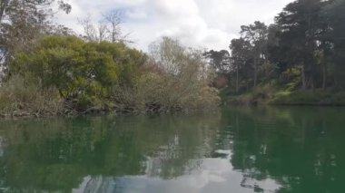 2-5-2023: San Francisco, California: Golden Gate Park 'taki Stow Gölü' nde kürek çekmek