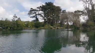 2-5-2023: San Francisco, California: Golden Gate Park 'taki Stow Gölü' nde kürek çekmek
