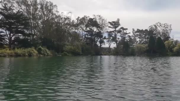 2023 加州旧金山 金门公园的池塘湖 — 图库视频影像