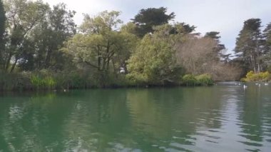 2-5-2023: San Francisco, California: Golden Gate Park 'taki Stow Gölü' nde kürek çekmek