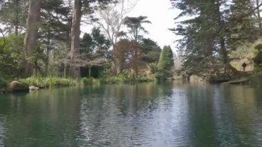 2-5-2023: San Francisco, California: Golden Gate Park 'taki Stow Gölü' nde kürek çekmek