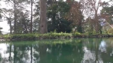 2-5-2023: San Francisco, California: Golden Gate Park 'taki Stow Gölü' nde kürek çekmek