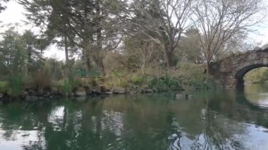 2-5-2023: San Francisco, California: Golden Gate Park 'taki Stow Gölü' nde kürek çekmek