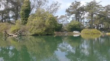2-5-2023: San Francisco, California: Golden Gate Park 'taki Stow Gölü' nde kürek çekmek