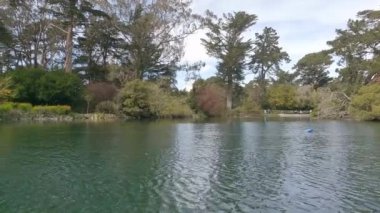 2-5-2023: San Francisco, California: Golden Gate Park 'taki Stow Gölü' nde kürek çekmek