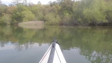 4-10-2023: Santa Rosa, California: Yüzen bahar gölü ve Howarth Gölü