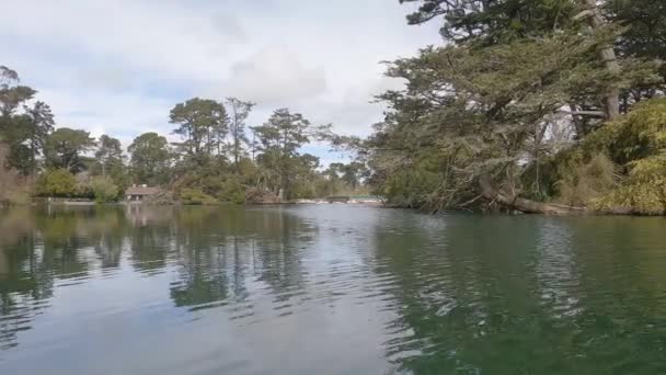 2023 São Francisco Califórnia Lago Paddling Stow Parque Golden Gate — Vídeo de Stock