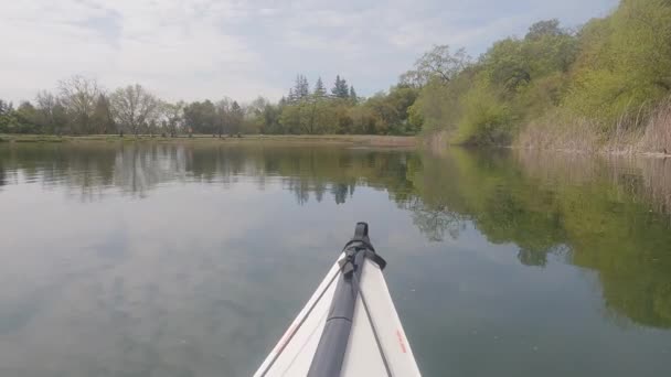 2023 Santa Rosa California Lago Paddling Spring Lago Howarth — Video Stock