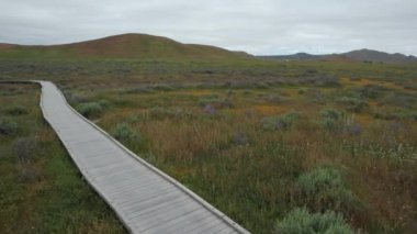 Vahşi çiçeklerin açtığı Carizzo düzlüklerinde uçmak