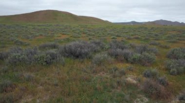 Vahşi çiçeklerin açtığı Carizzo düzlüklerinde uçmak