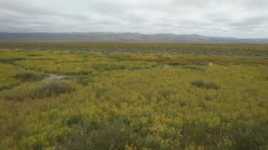 Vahşi çiçeklerin açtığı Carizzo düzlüklerinde uçmak