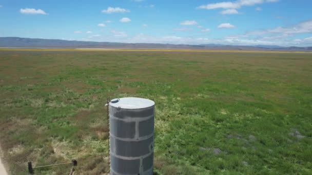 Survoler Les Plaines Carizzo Pendant Floraison Des Fleurs Sauvages — Video