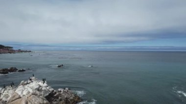 Monterey, California 'da Aşıklar Noktası üzerinde uçuyor