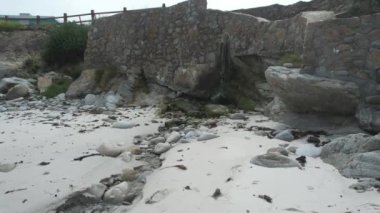 Monterey, California 'da Aşıklar Noktası üzerinde uçuyor