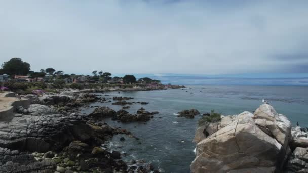 Monterey California Aşıklar Noktası Üzerinde Uçuyor — Stok video