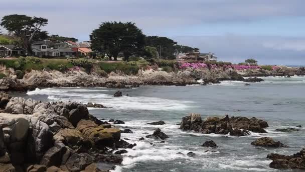 Flying Lovers Point Monterey California — Stock video
