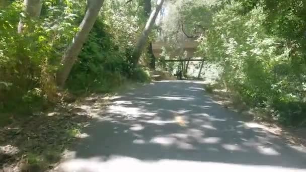 2022 Los Gatos Califórnia Trilha Bicicleta Los Gatos Creek Lago — Vídeo de Stock