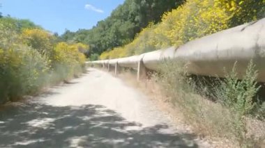 8-15-2022: Los Gatos, California: Vasona Gölü 'nden Lexington Barajı' na kadar Los Gatos Creek yolu