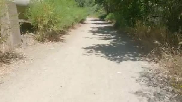 2022 Los Gatos California Biking Los Gatos Creek Trail Vasona — Stock Video