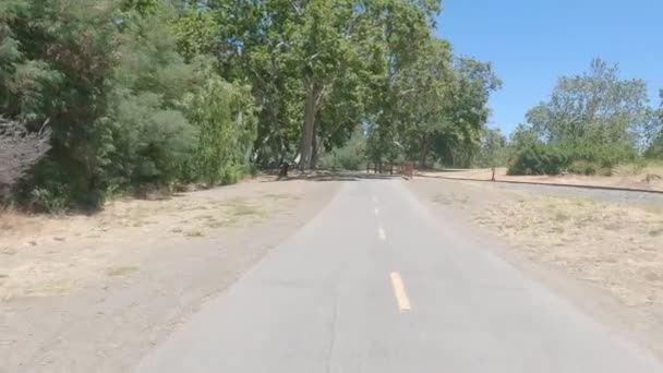2022 Лос Гатос Калифорния Поездка Велосипеде Реке Лос Гатос Озера — стоковое видео