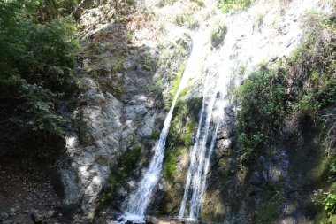 Pfeiffer düştü Doğa Büyük Sur kıyısı boyunca Kaliforniya
