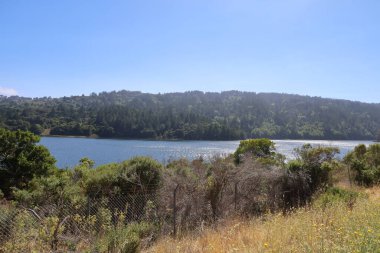 Crystal Springs 'in fotoğrafı, San Mateo, California