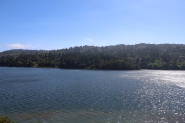 Crystal Springs 'in fotoğrafı, San Mateo, California
