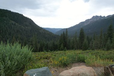 Eureka Plumas Ormanı 'ndaki Sierra Butte Havalimanı, Kaliforniya Havzası