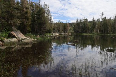 Fotoğraf: Büyük Ayı Gölü Eureka Plumas Ormanı, Kaliforniya