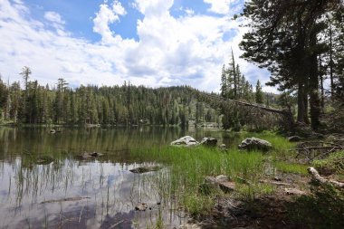 Fotoğraf: Büyük Ayı Gölü Eureka Plumas Ormanı, Kaliforniya