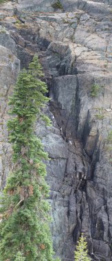  Frazier, Eureka Plumas Ormanı, Havza Gölü, Califo