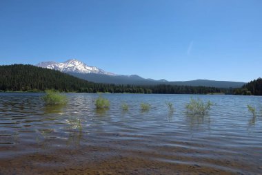 Siskiyou Gölü 'ne yansıyan Shastha Dağı' nın vahşi fotoğrafı. 