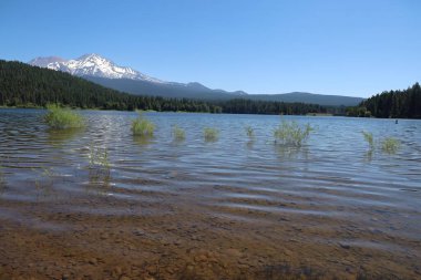 Siskiyou Gölü 'ne yansıyan Shastha Dağı' nın vahşi fotoğrafı. 
