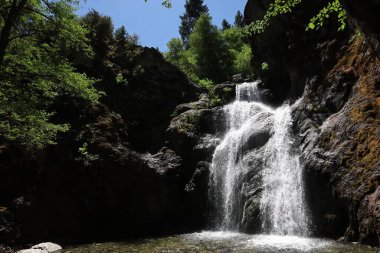 Shastha California 'da su seviyesi düşüyor.